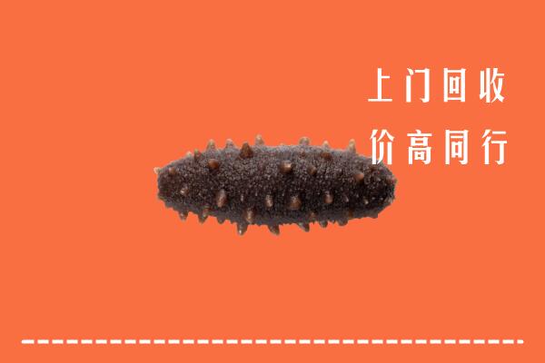 海南市高价回收海参