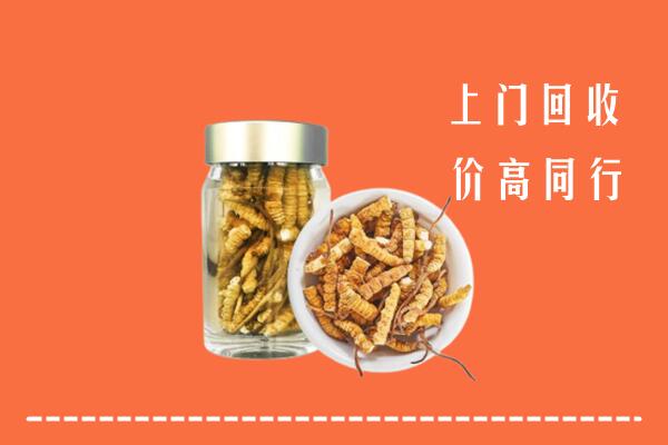 海南市回收冬虫夏草